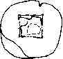wpe2.jpg (2509 bytes)