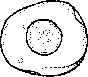wpe14.jpg (2415 bytes)