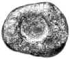 wpe16.jpg (2456 bytes)