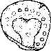 wpe27.jpg (2646 bytes)